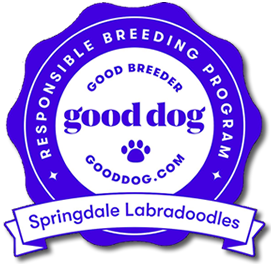 Good Dog Breeders