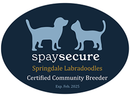 Dog Breeder Spaying Neutering Compliance Service